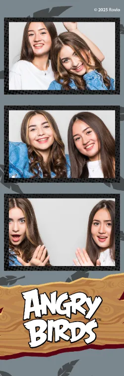 Angry Birds Photostrip 2