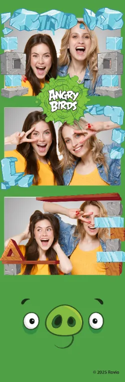 Angry Birds Photostrip 3